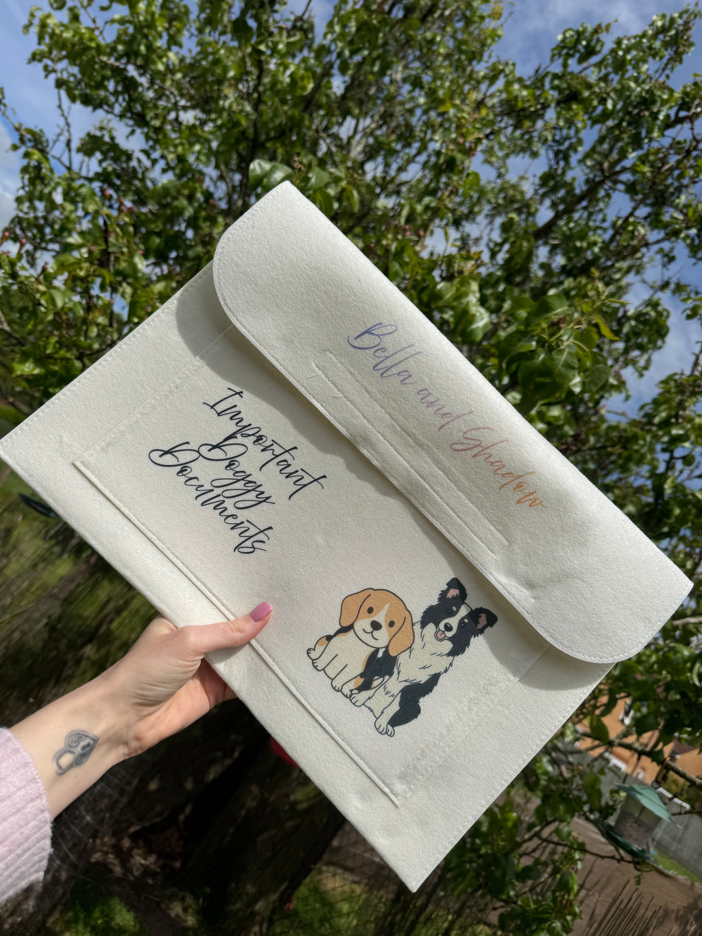 Pet keepsafe document folder