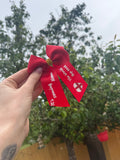 The world cup mini me bow