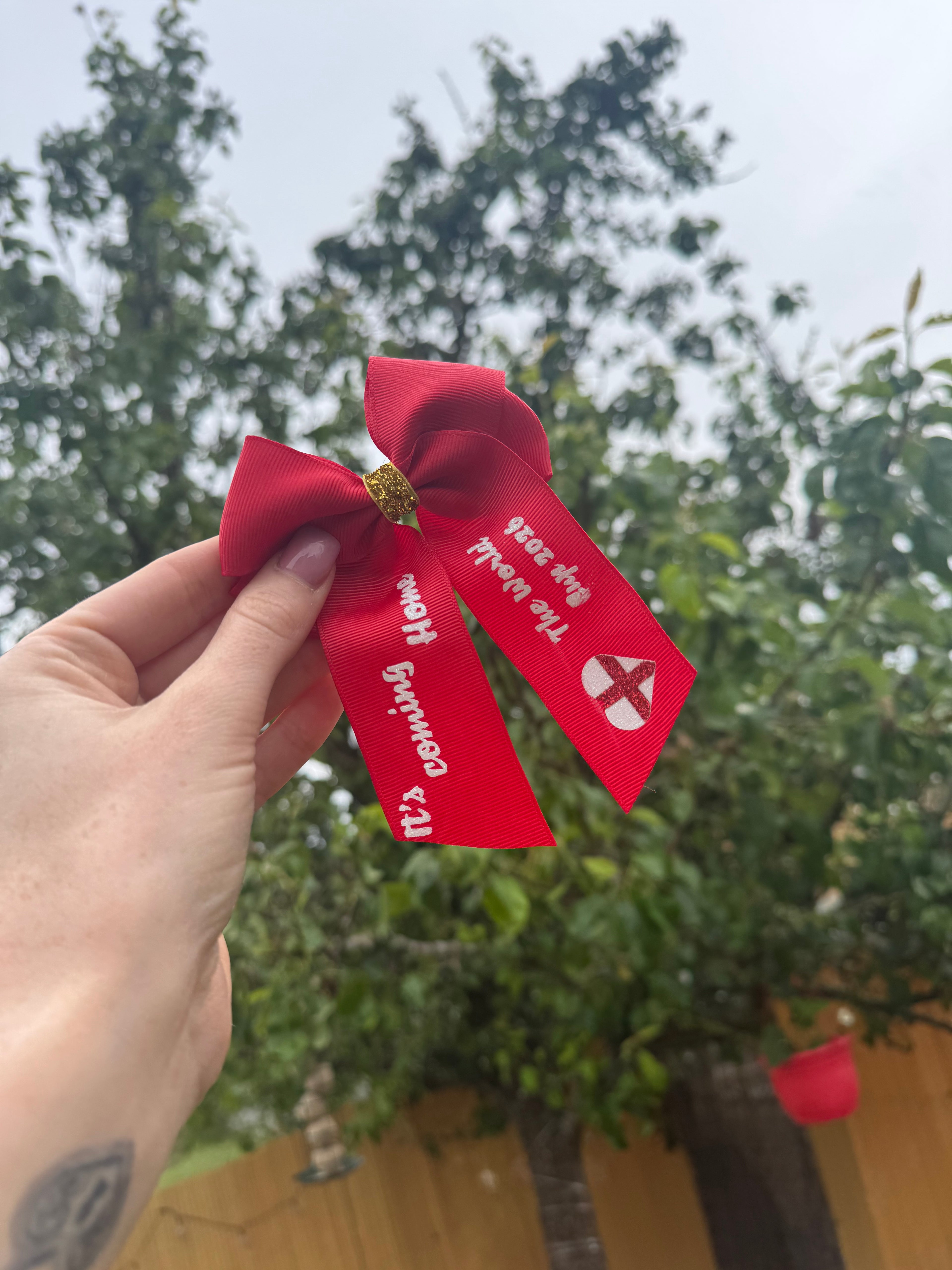 The world cup mini me bow