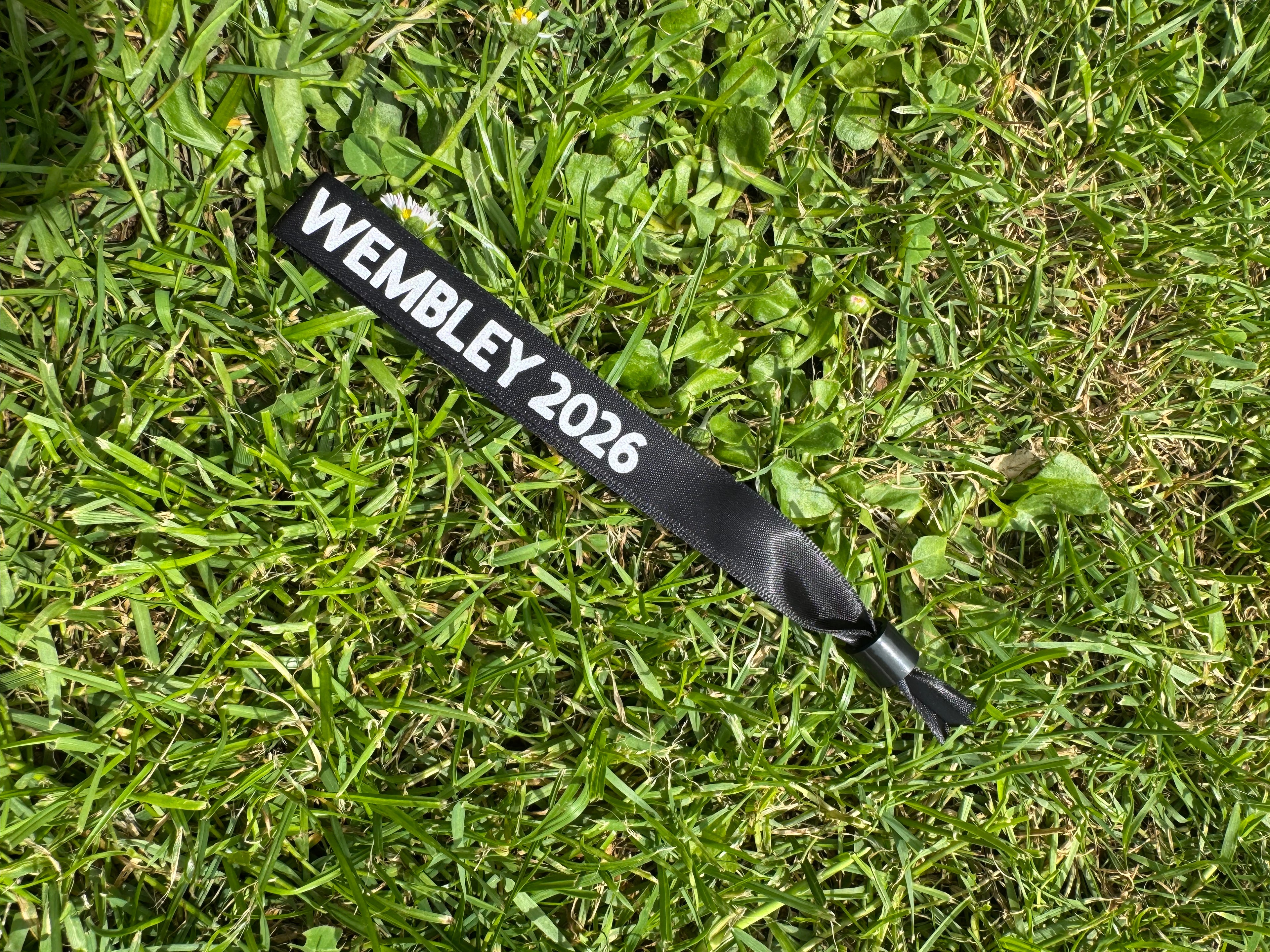Inspired by concert wristbands